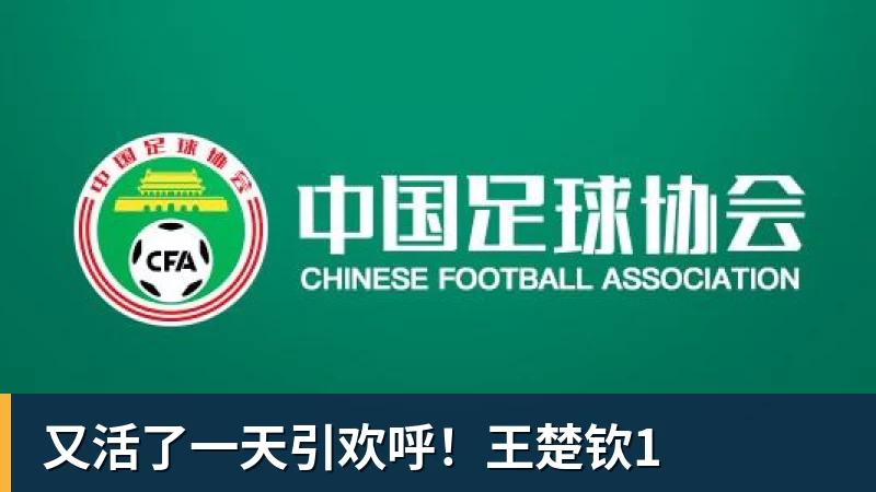 又活了一天引欢呼!王楚钦1